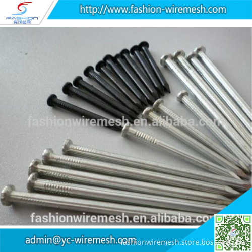 High Quality Building low price concrete nails